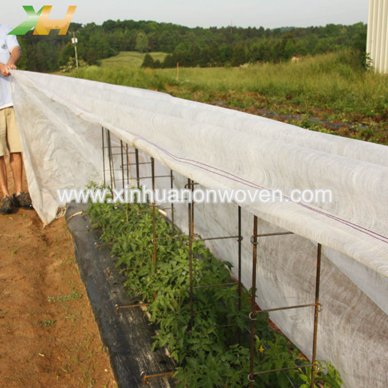 لماذا تستخدم الزراعة الأقمشة غير المنسوجة؟